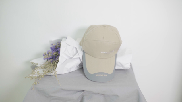 C3.ai(AI.US)首席执行官健康问题引发股价急剧下跌 Wedbush分析收购机会上升